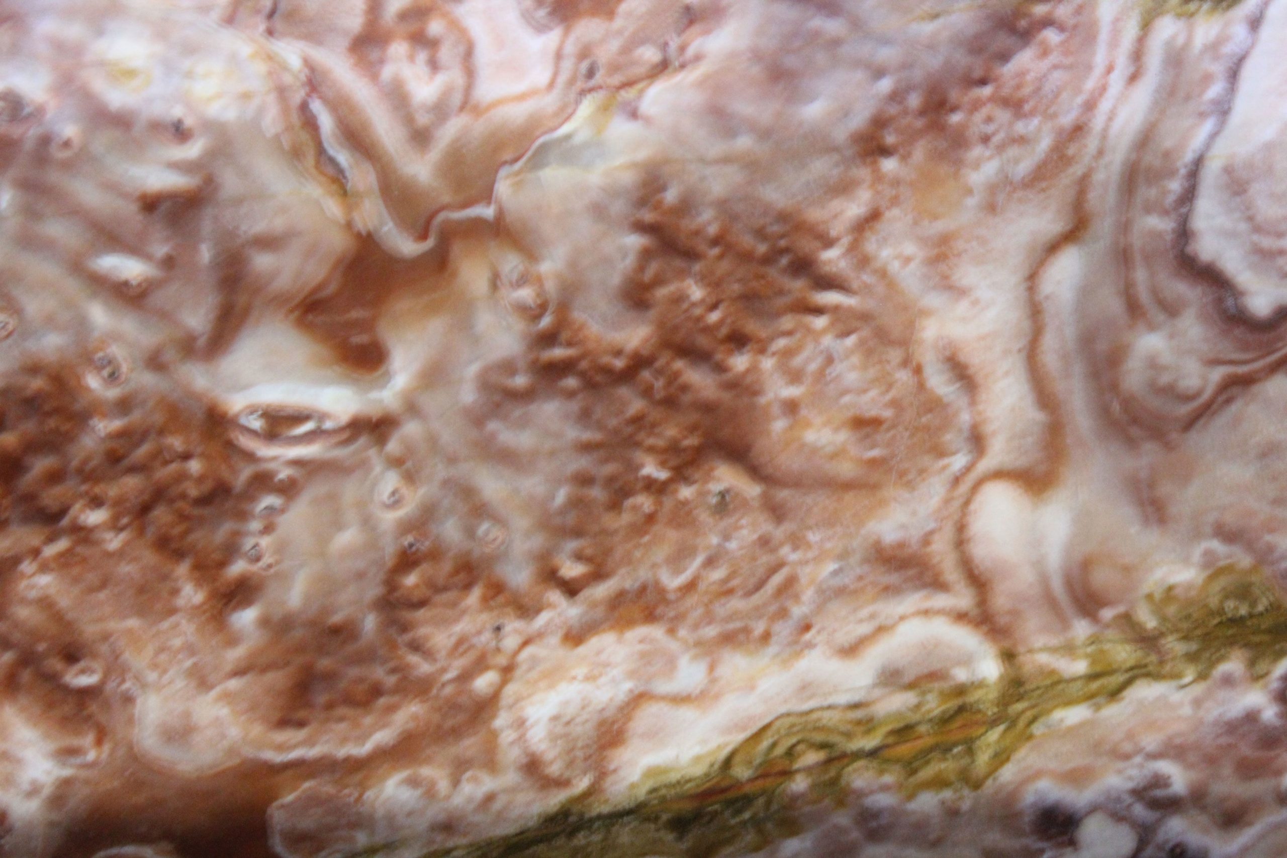 Оникс Coral Rif